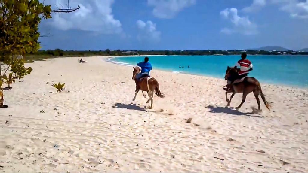 White Sands Anguilla - Sea Blowing Point Village Экстерьер фото